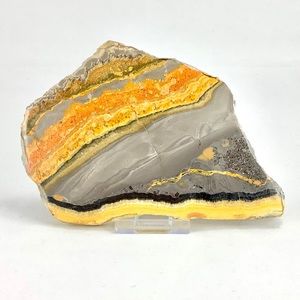 Bumblebee Jasper Polished Slice from Indonesia.